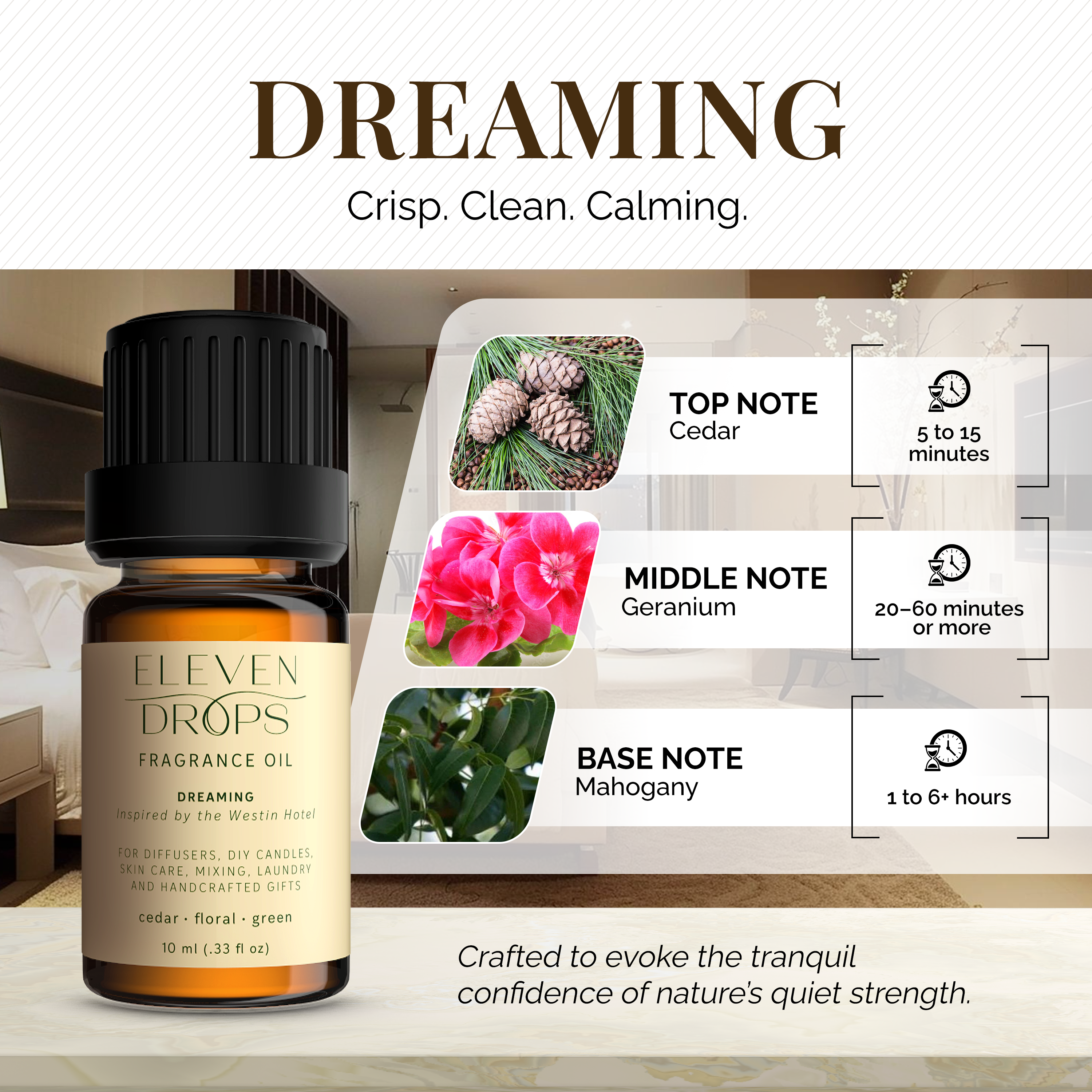 Dreaming Diffuser Oil Premium Fragrance Oil Luxury in a Bottle