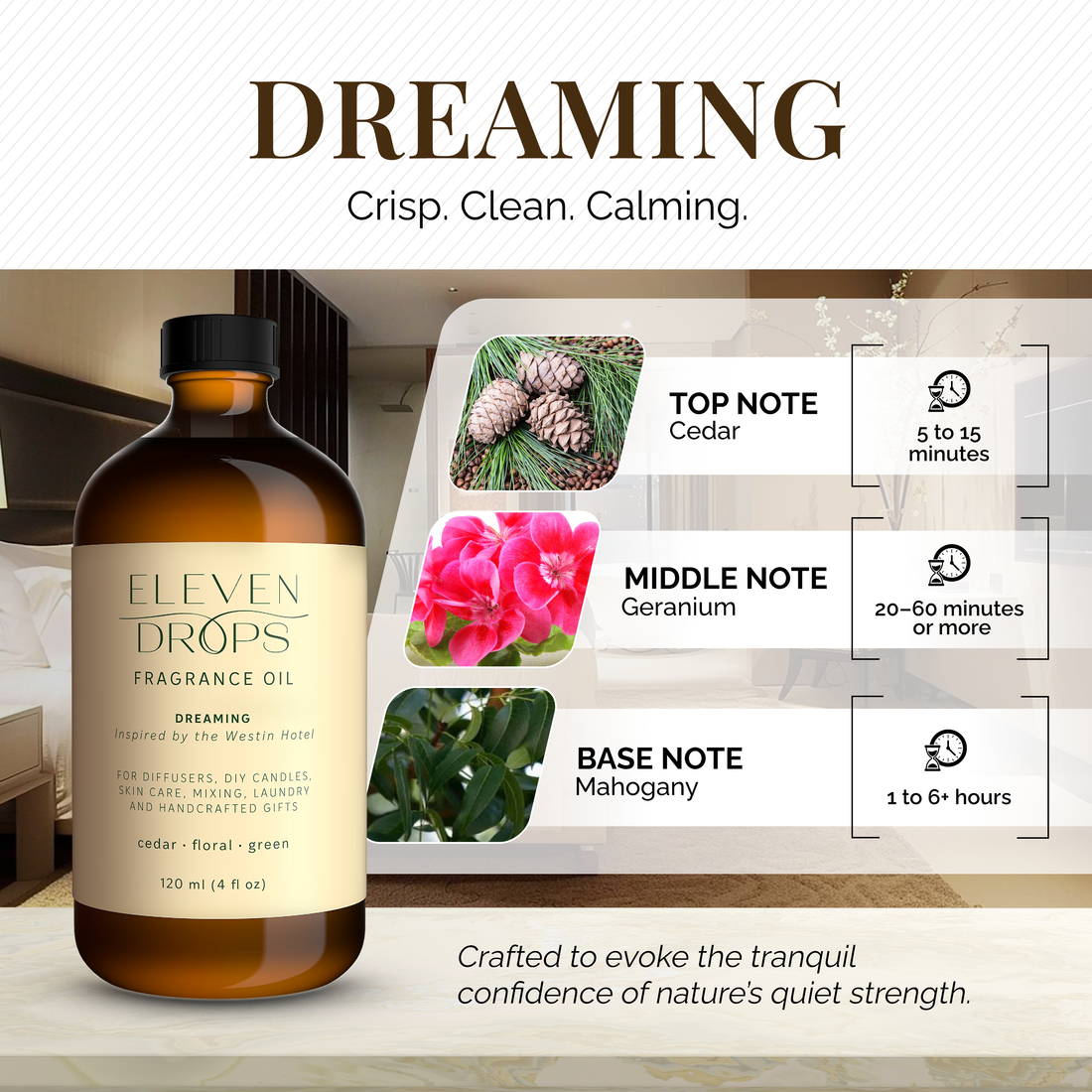 Dreaming Diffuser Oil Premium Fragrance Oil Luxury in a Bottle