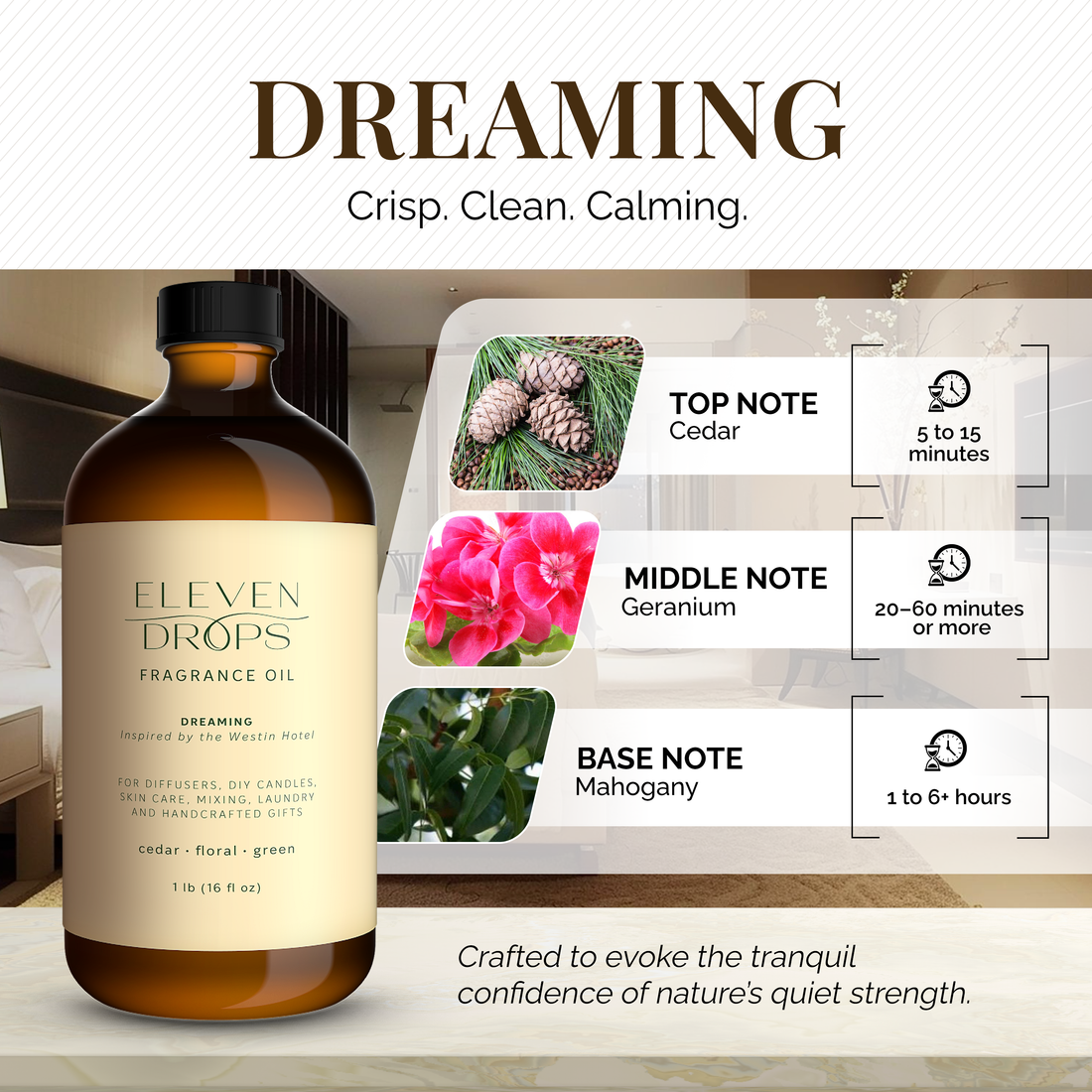 Dreaming Diffuser Oil Premium Fragrance Oil Luxury in a Bottle