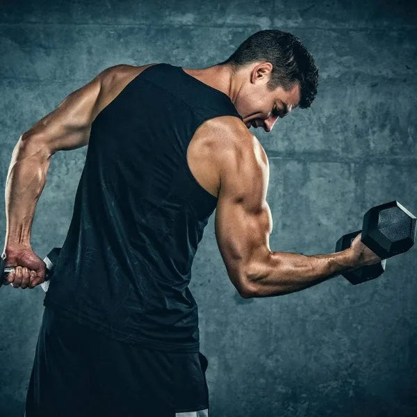 Premium Rubber-Encased Hex Dumbbells with Rack