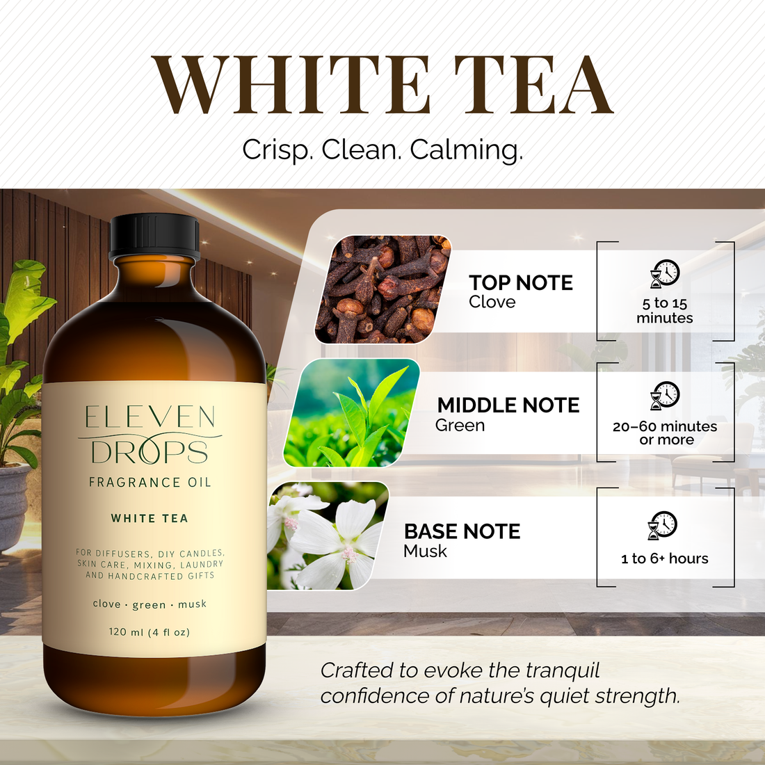 White Tea Essential Diffuser Oil - Premium Luxurious Fragrance Oil